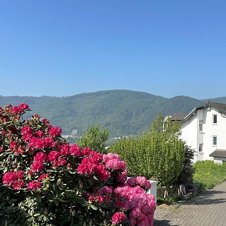 Ferienwohnung Rhein-Panorama ラーンシュタイン エクステリア 写真
