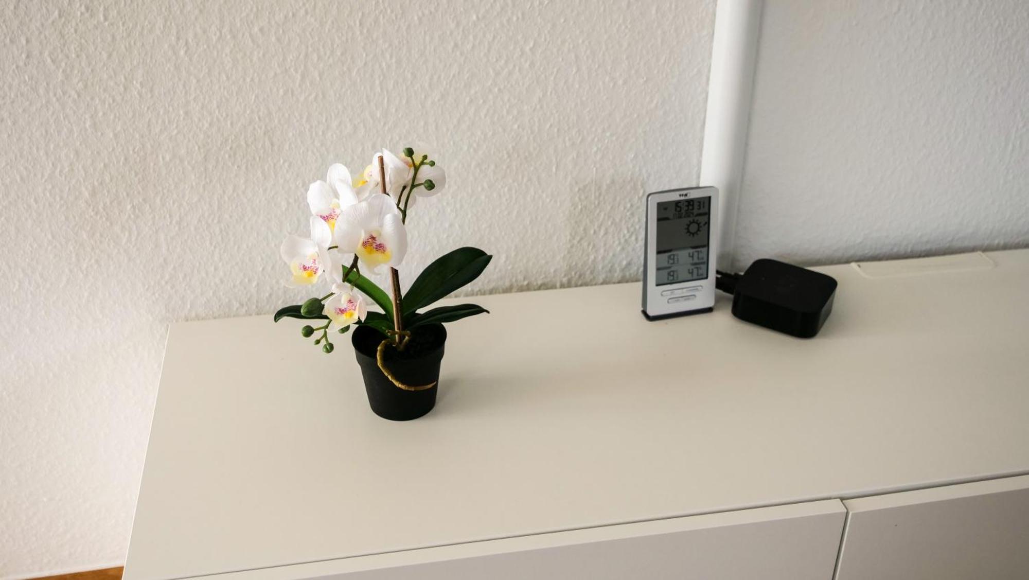 Ferienwohnung Rhein-Panorama ラーンシュタイン エクステリア 写真