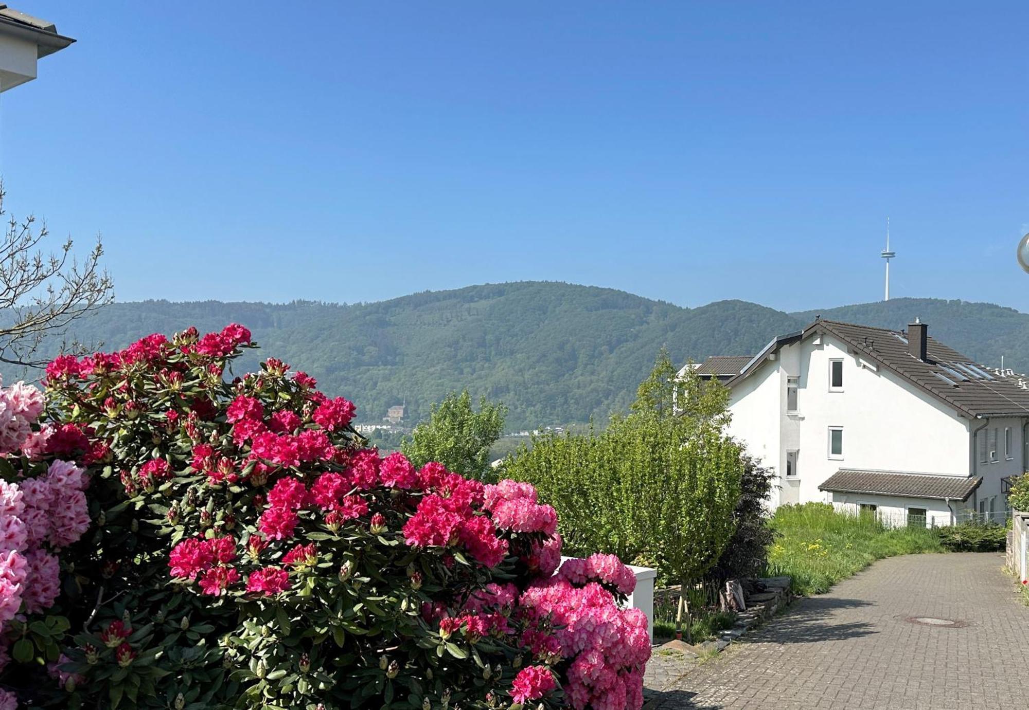 Ferienwohnung Rhein-Panorama ラーンシュタイン エクステリア 写真